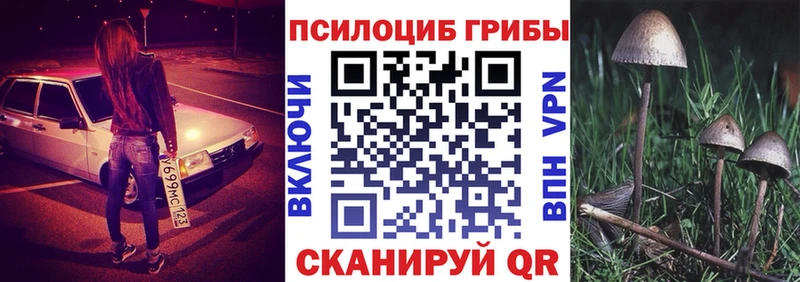 Псилоцибиновые грибы прущие грибы ссылка на мегу маркетплейс Шелехов